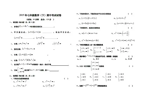 2019年七年级数学(下)期中考试试卷