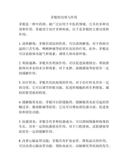 茅根的功效与作用