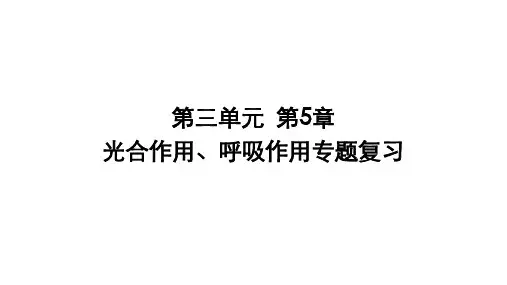 生物中考一轮复习课件(共20张PPT)：35光合作用与呼吸作用