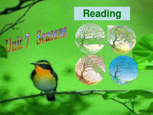 牛津译林版八年级上册英语课件：unit7seasonsreading1