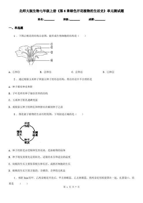北师大版生物七年级上册《第6章绿色开花植物的生活史》单元测试题