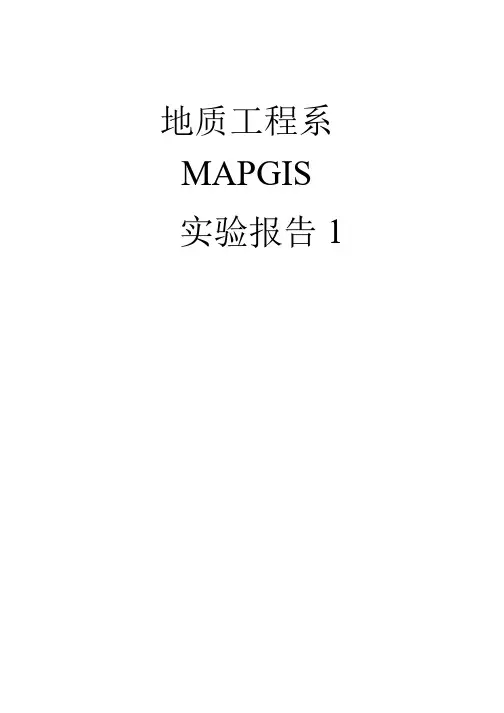 mapgis实验报告