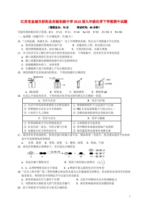 江苏省盐城市射阳县实验初级中学九年级化学下学期期中试题 (2)