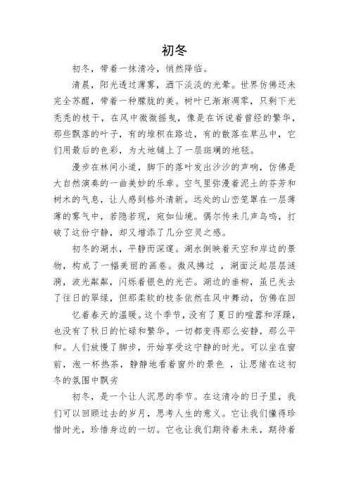 《初 冬》