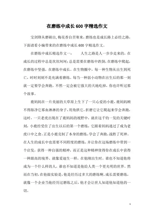 在磨练中成长600字精选作文