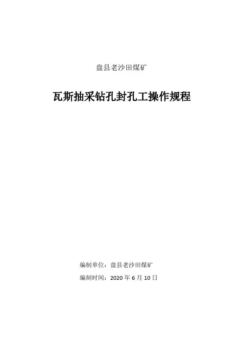 瓦斯抽采钻孔封孔工操作规程(完美)