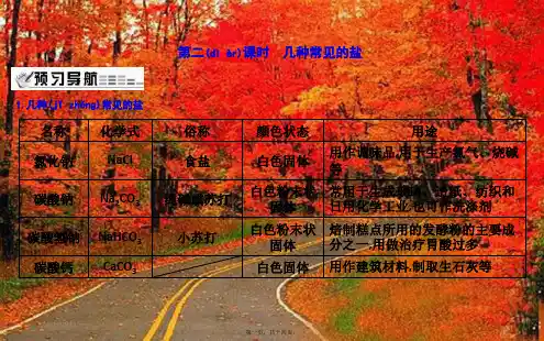九年级化学下册第7章应用广泛的酸、碱、盐第3节几种重要的盐几种常见的盐