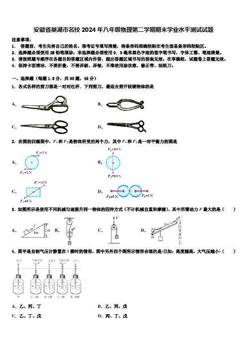 安徽省巢湖市名校2024年八年级物理第二学期期末学业水平测试试题含解析