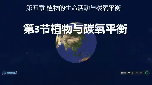 2.5.3植物与碳氧平衡课件2024-2025学年沪教版生物七年级上册