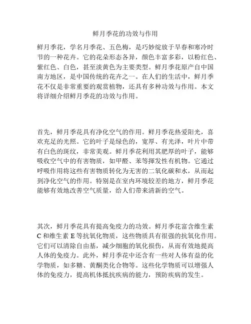 鲜月季花的功效与作用