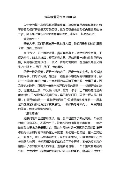 六年级遇见作文600字