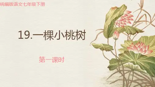 《一棵小桃树》ppt课件