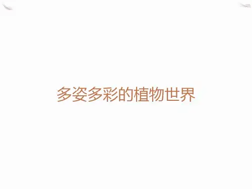 多姿多彩的植物世界