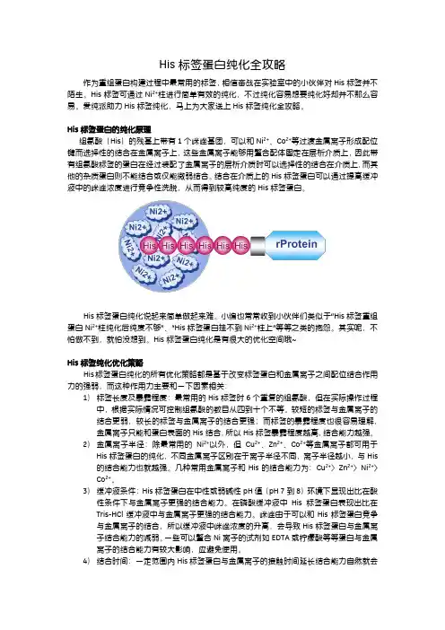 His标签蛋白纯化全攻略