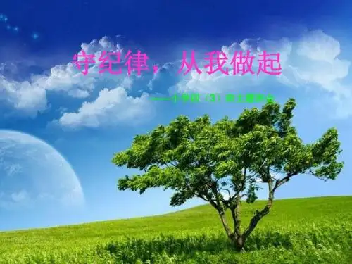 守纪律-从我做起-主题班会