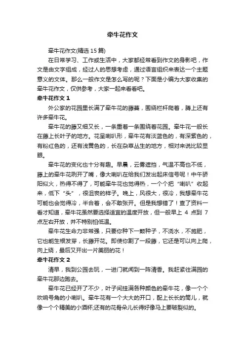 牵牛花作文（精选15篇）