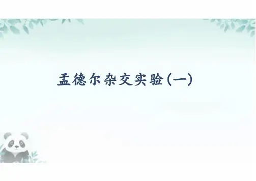 1.1孟德尔的豌豆杂交实验(一)(第2课时)课件高一下学期生物人教版必修2