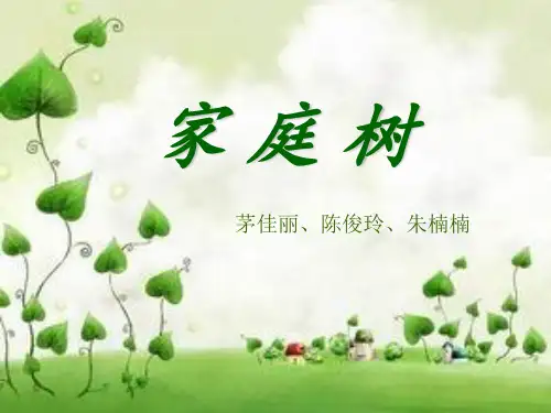 品德课《家庭树》课件
