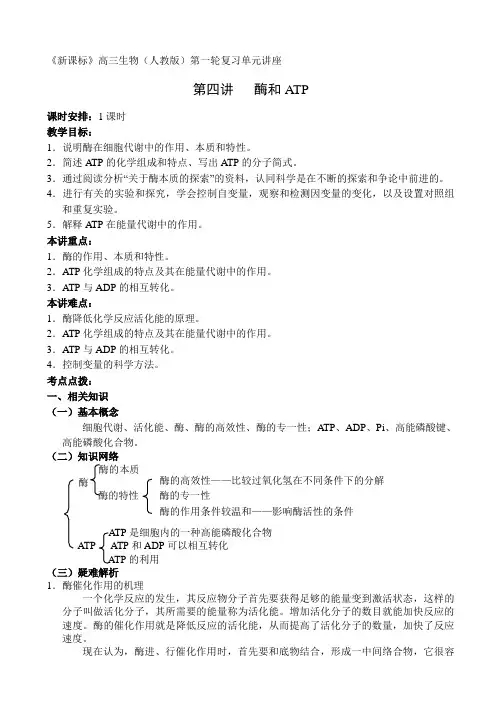 高考生物一轮复习人教版酶和ATP教案.doc