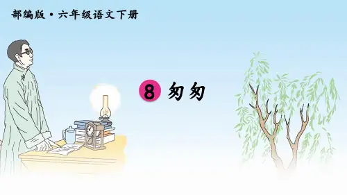 最新部编版六年级语文下册第8课《匆匆》精品课件