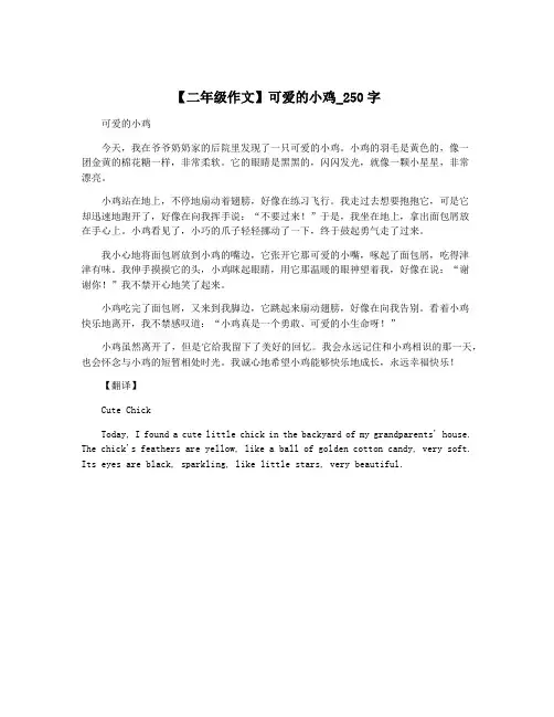 【二年级作文】可爱的小鸡_250字
