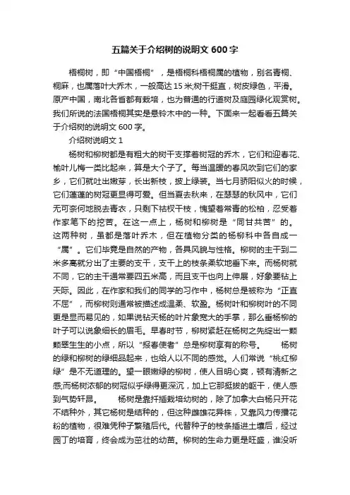 五篇关于介绍树的说明文600字
