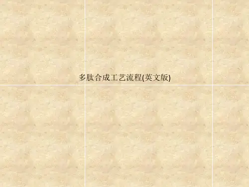 多肽合成工艺流程(英文版)