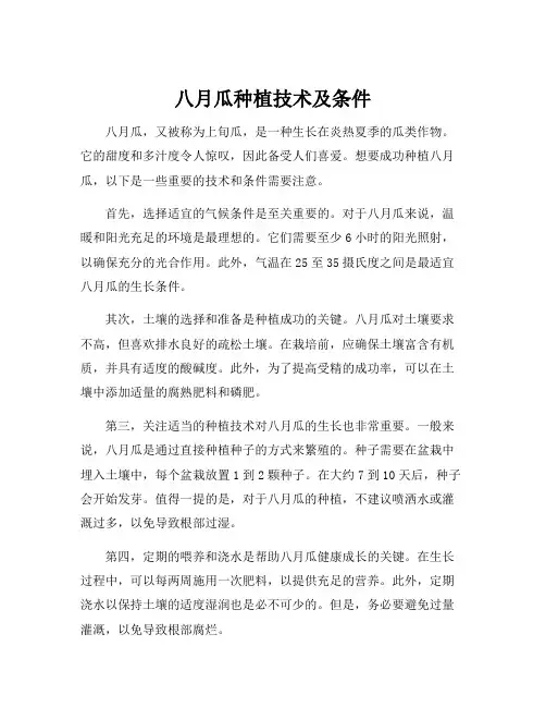 八月瓜种植技术及条件