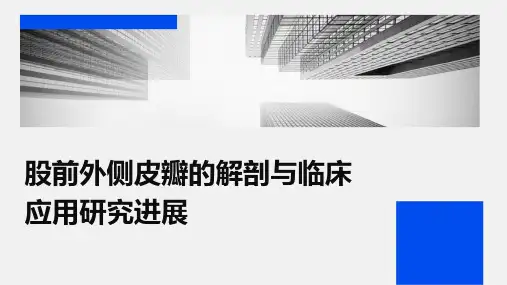 股前外侧皮瓣的解剖与临床应用研究进展——徐传达课件