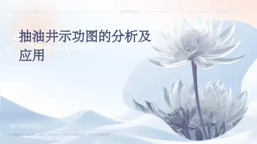 抽油井示功图的分析及应用