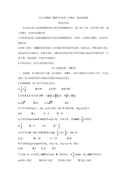 四川省内江市2018-2019学年高一下学期期末检测 数学(文) Word版含答案