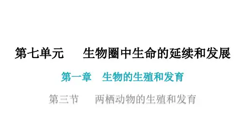 人教版八年级生物下册7. 两栖动物的生殖和发育 课件