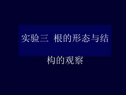 植物学的实验三.根