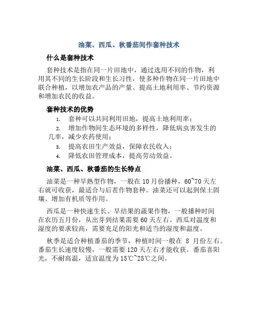 油菜、西瓜、秋番茄间作套种技术