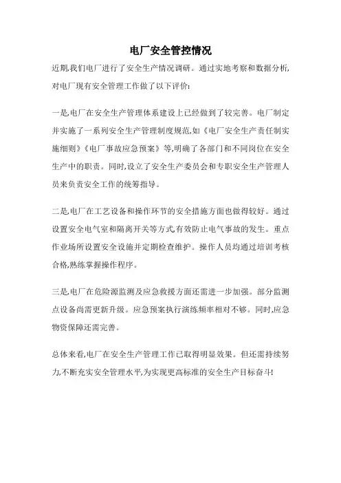 电厂安全管控情况