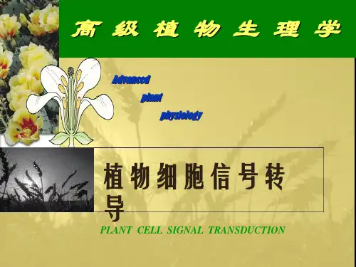 高等植物生理学-植物信号转导