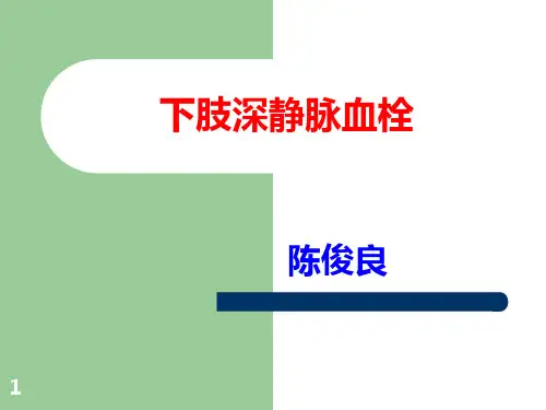 下肢深静脉血栓PPT课件