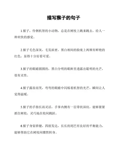 描写猴子的句子