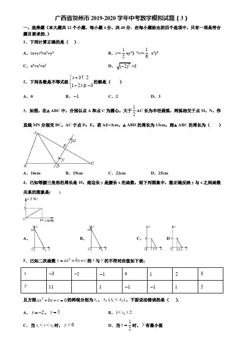 广西省贺州市2019-2020学年中考数学模拟试题(3)含解析