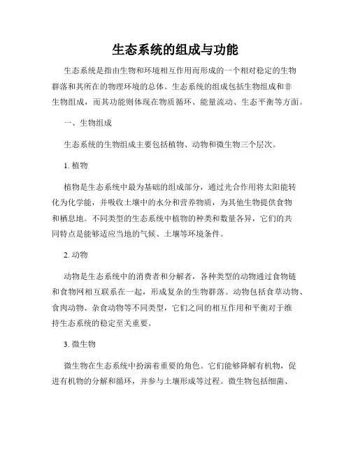 生态系统的组成与功能