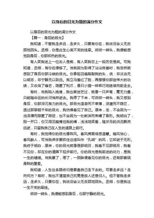 以身后的目光为题的满分作文