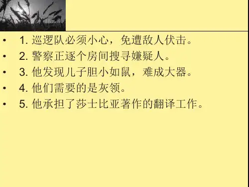 汉译英 经典翻译
