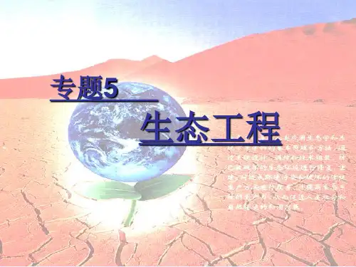 人教版·高中生物·选修3·专题5 生态工程(高三复习课件)