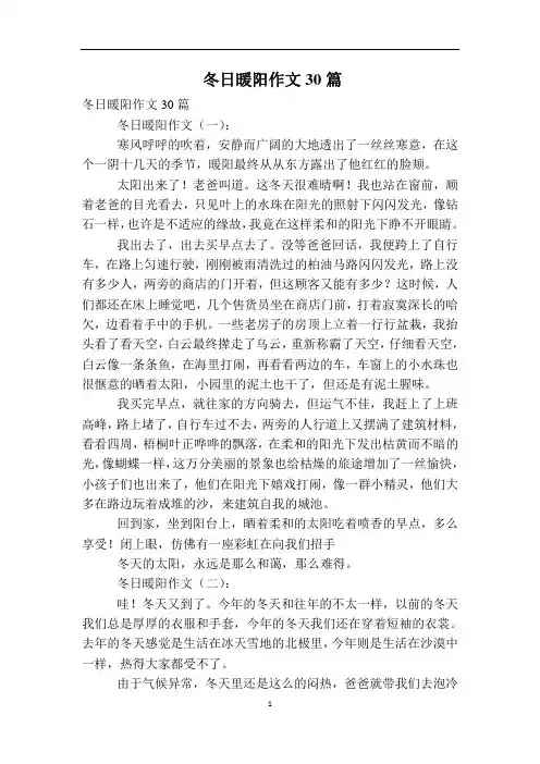 冬日暖阳作文30篇