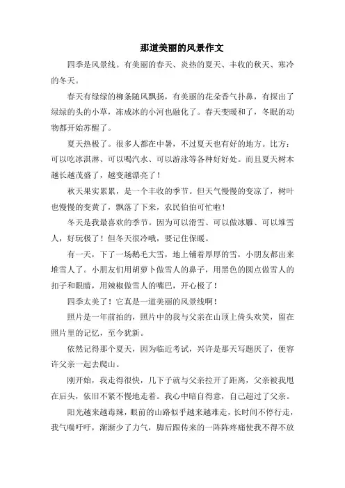 那道美丽的风景作文精编