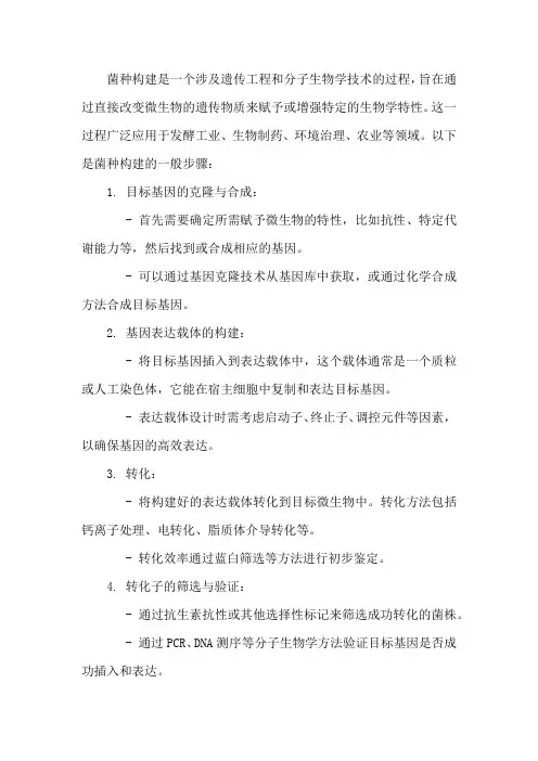 菌种构建的过程