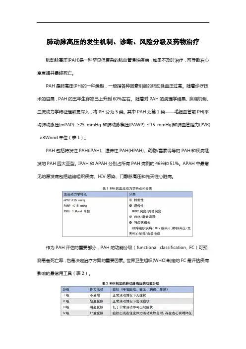 肺动脉高压的发生机制、诊断、风险分级及药物治疗