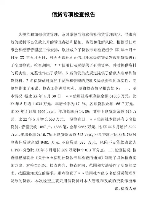 信贷专项检查报告