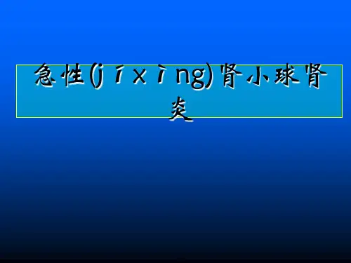 急性肾小球肾炎 完成 ppt课件