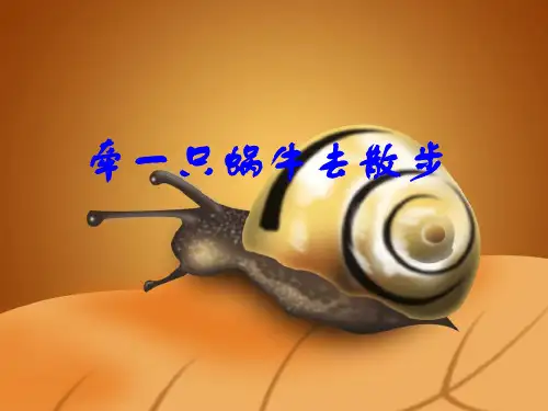 牵一只蜗牛去散步(精彩).
